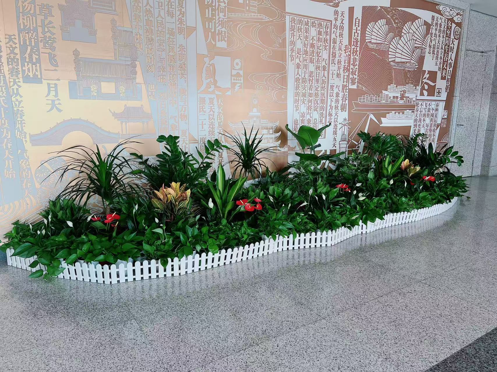 宁波慈溪花卉租摆超专业，绿植焕新您的环境